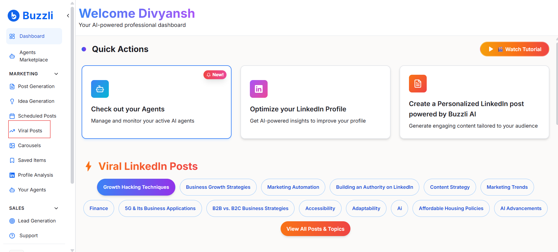 Buzzli dashboard showing all LinkedIn growth tools