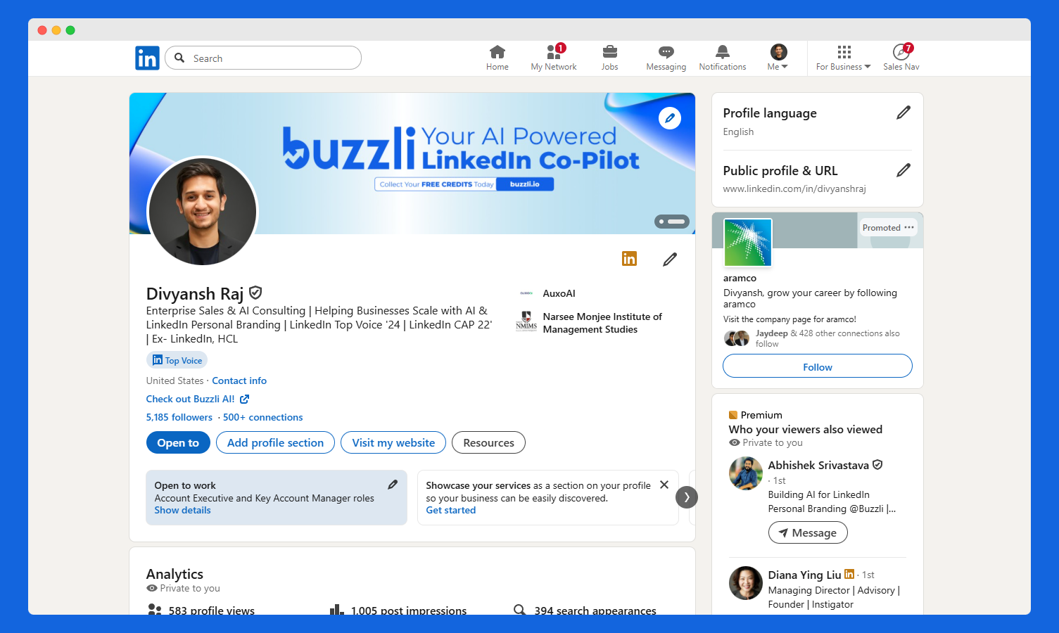 LinkedIn Profile Analyzer dashboard showing the profile optimization tool interface with step-by-step navigation